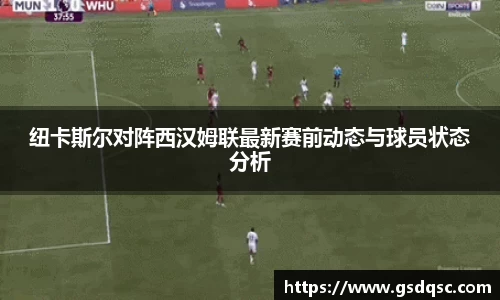 纽卡斯尔对阵西汉姆联最新赛前动态与球员状态分析